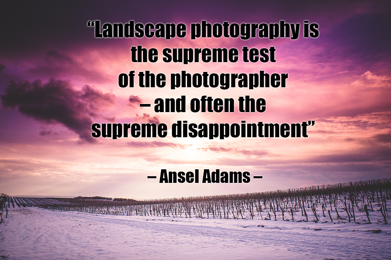 photography quote